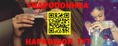 дмт Кимры