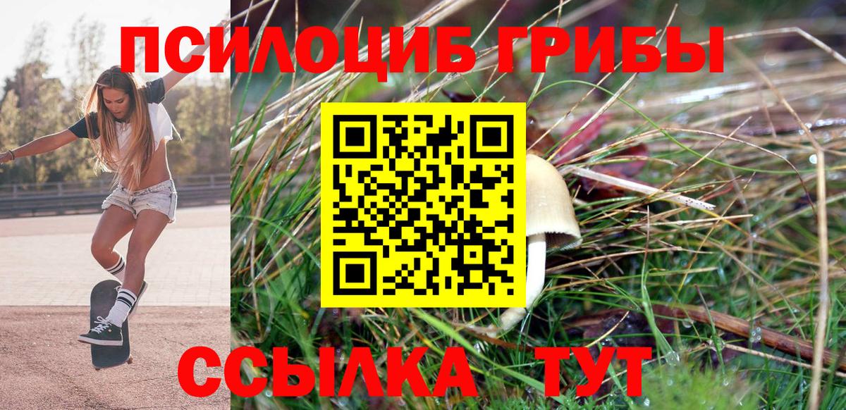 Галлюциногенные грибы Psilocybe  Вход с VPN  Глазов 