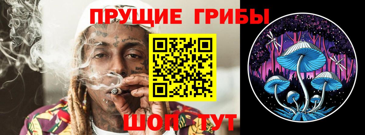 Галлюциногенные грибы Cubensis Глазов